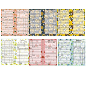 Планер Budget Sheet з фруктовим малюнком 12 аркушів