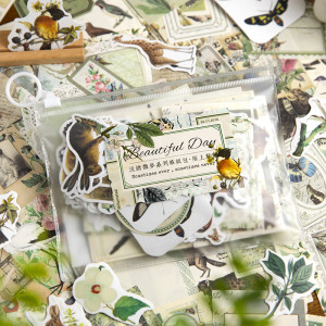 Набір паперу для скрапбукінгу у зеленому кольорі, ретро серія Flowing Light, 200 елементів 10х15 см Набір паперу для скрапбукінгу у зеленому кольорі, ретро серія Flowing Light, 200 елементів 10х15 см
