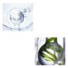 Маска, що омолоджує з морськими водоростями BIOAQUA Algae Hyaluronic Acid Mask 8*7,5 г