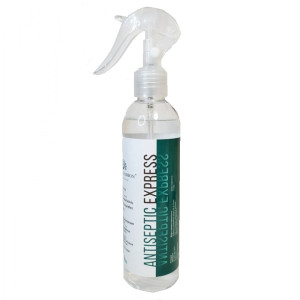 Дезінфікуючий засіб GLOBAL FASHION Antiseptic Express, 250 мл