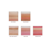 Рум'яна, бронзер та хайлайтер для обличчя з пензлем PARTY QUEEN Bronze shimmer Brick Set 5 відтінків