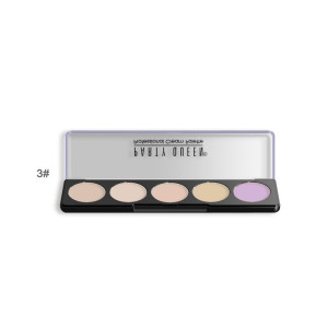 Палітра консилерів для корекції обличчя 5 кольорів PARTY QUEEN 5 Cream Concealer Palette #03