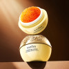 Антивіковий крем для обличчя Sadoer Caviar DNA Sodium Collagen Firming Cream, 30 г